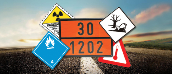 Curso Consejero de Seguridad ADR