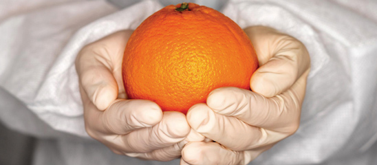 Curso Manipulador de alimentos a distancia