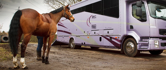 curso transporte animales